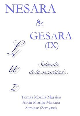 NESARA & GESARA IX Luz... Saliendo de la oscuridad... (häftad)