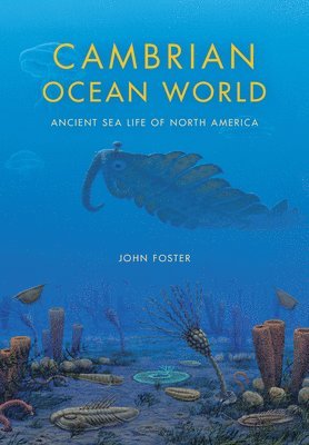 Cambrian Ocean World (inbunden)