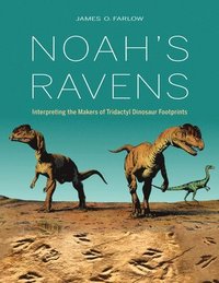 Noah's Ravens (inbunden)
