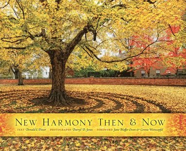 New Harmony Then and Now (inbunden)