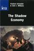 Shadow Economy