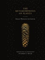 The Metamorphosis of Plants (inbunden)