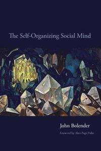The Self-Organizing Social Mind (inbunden)