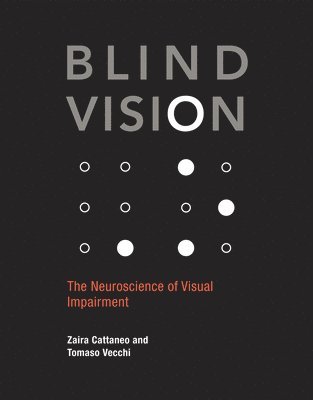 Blind Vision (inbunden)