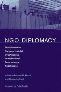 NGO Diplomacy (inbunden)