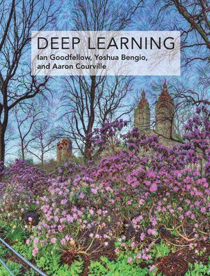 Deep Learning (häftad)