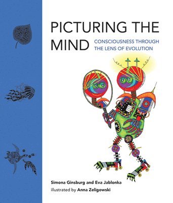 Picturing the Mind (inbunden)