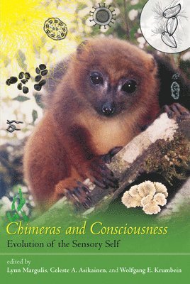 Chimeras and Consciousness (häftad)