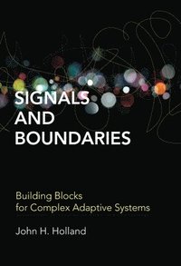 Signals and Boundaries (hftad)