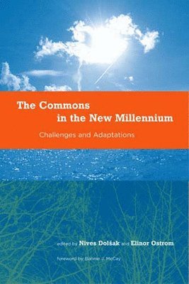 Commons in the New Millennium (inbunden)