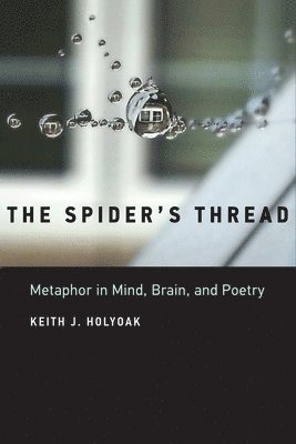 Spider's Thread (häftad)