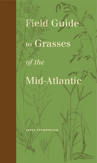Field Guide to Grasses of the Mid-Atlantic (hftad)