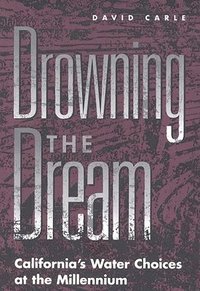 Drowning the Dream (inbunden)