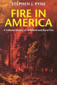 Fire in America (e-bok)