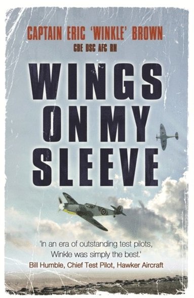 Wings on My Sleeve (e-bok)