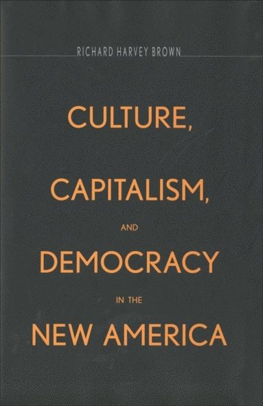 Culture, Capitalism, and Democracy in the New America (e-bok)