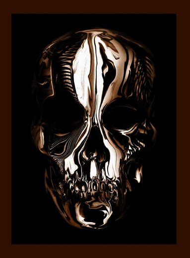 Alexander McQueen Andrew Bolton, Alexander Bolton Bok