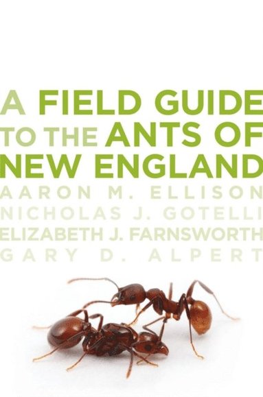 Field Guide to the Ants of New England (h�ftad)