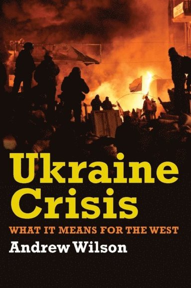 Ukraine Crisis (e-bok)