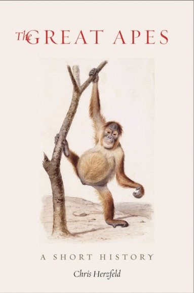 Great Apes (e-bok)