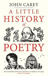 A Little History of Poetry (inbunden)