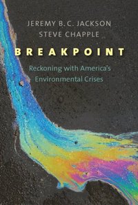 Breakpoint (e-bok)