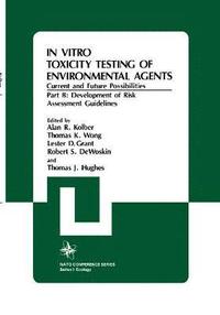 In Vitro Toxicity Testing Of Environmental Agents, Current and Future Possibilities (inbunden)
