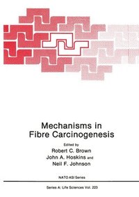 Mechanisms in Fibre Carcinogenesis (inbunden)