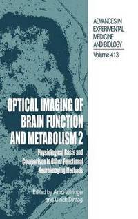 Optical Imaging of Brain Function and Metabolism 2 (inbunden)