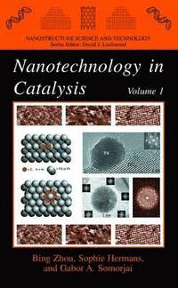 Nanotechnology in Catalysis (inbunden)