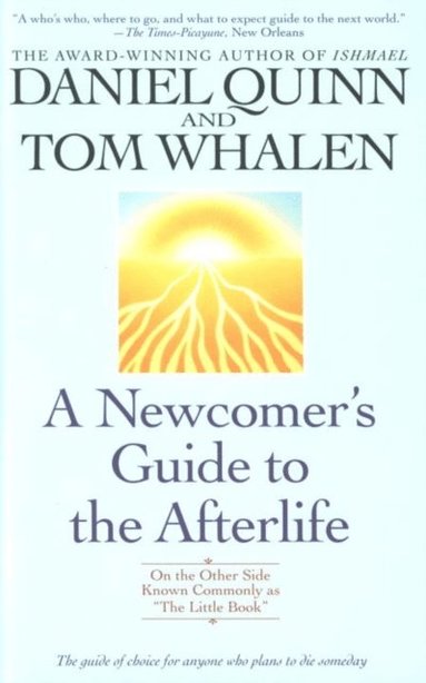 Newcomer's Guide to the Afterlife (e-bok)