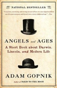 Angels and Ages: A Short Book about Darwin, Lincoln, and Modern Life (hftad)