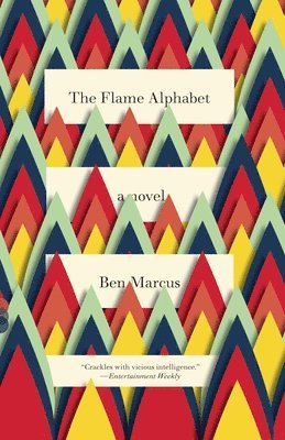 The Flame Alphabet (h�ftad)
