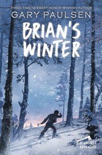 Brian's Winter (häftad)