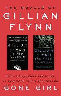 Novels of Gillian Flynn (e-bok)