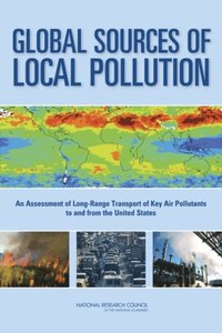 Global Sources of Local Pollution (e-bok)