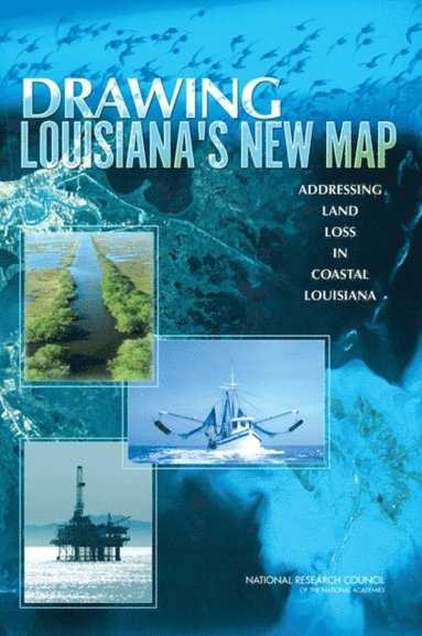 Drawing Louisiana's New Map (e-bok)