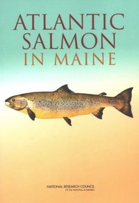Atlantic Salmon in Maine (e-bok)