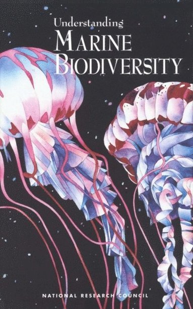 Understanding Marine Biodiversity (e-bok)