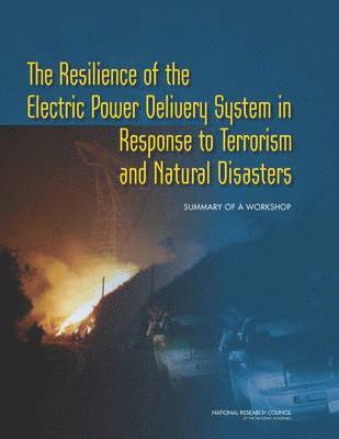 The Resilience of the Electric Power Delivery System in Response to Terrorism and Natural Disasters (hftad)