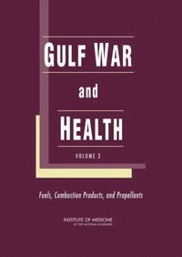 Gulf War and Health (e-bok)
