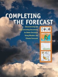 Completing the Forecast (e-bok)