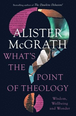 What's the Point of Theology?: Wisdom, Wellbeing and Wonder (h�ftad)