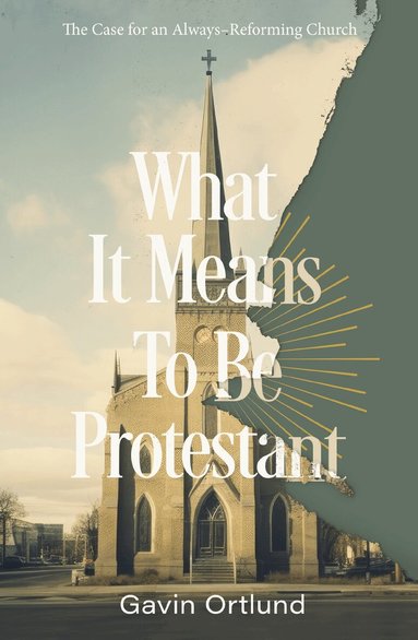 What It Means to Be Protestant (inbunden)