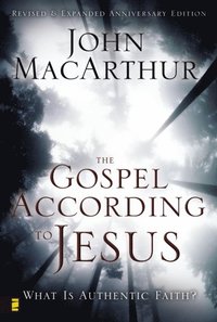 Gospel According to Jesus (e-bok)