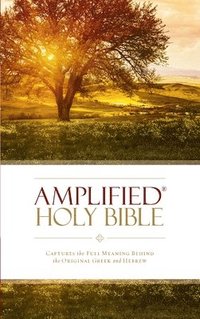 Amplified Holy Bible, Paperback (häftad)
