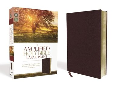Amplified Holy Bible, Large Print, Bonded Leather, Burgundy (inbunden)