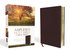 Amplified Holy Bible, Large Print, Bonded Leather, Burgundy