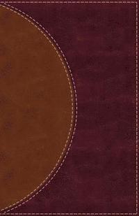 Amplified Reading Bible, Leathersoft, Brown, Thumb Indexed (inbunden)