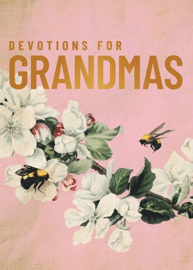 Devotions for Grandmas (h�ftad)